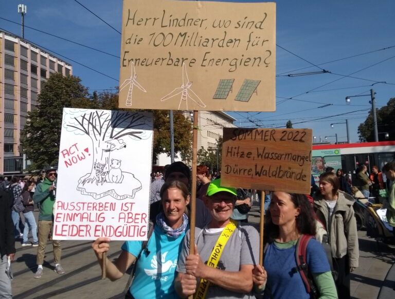 Globaler Klimastreik in Freiburg