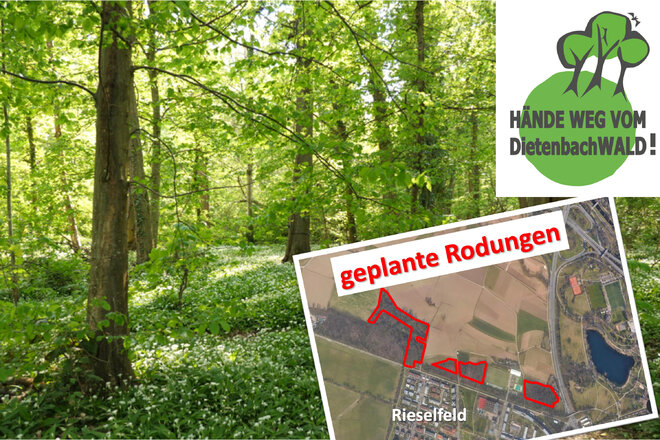 Reminder für Petition ＂Hände weg vom Dietenbach - Wald＂